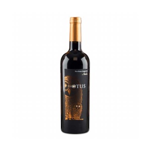 Asio Otus Cabernet Merlot Shiraz | Hofmann´s Genuss-Shop