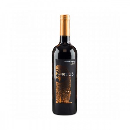 Asio Otus Cabernet Merlot Shiraz | Hofmann´s Genuss-Shop