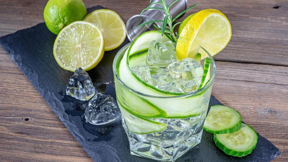 Gin Cocktail Tasting mit verschiedenen Gin-Drinks und Botanicals