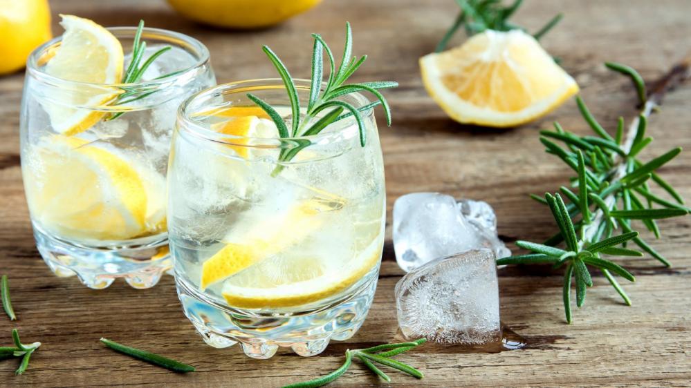 Tasting: Gin & Tonic | Lernen Sie Geheimnisse dieses Kultgetränks kennen und verkosten es in unterschiedlichen Variation